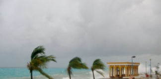 Kas di famianan boneriano no tin resiliensia pa kambio di klima – akshon ta altamente nesesario