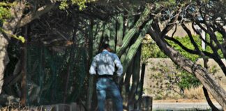 Acusado a bira agresivo y e dama a cuminsa yora Fiscal a exigi 25 y 22 aña di prison pa a mata homber na forma cruel