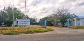 Veterinaire Dienst; Orario pa servicio di Abattoir durante temporada druk di fin di aña