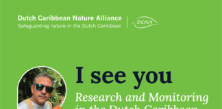 E proximo reunion di hunta di directiva y presentacion publico di DCNA