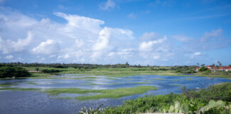 MINISTERIO DI NATURALESA A BISHITA DIFERENTE SALIÑA DI ARUBA
