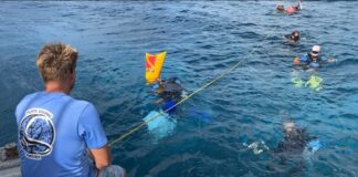 Pintora ta haci obranan bou di awa pa crea consciencia y proteccion di bida marino