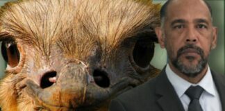 Ademas di exigi cu pa 10 aña e no por postula su mes como politico Fiscal a exigi 5 aña di prison pa Parlamentario Benny Sevinger