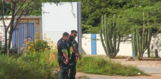 Mas cu 12 tiro a cay dilanti ex Cable Tv