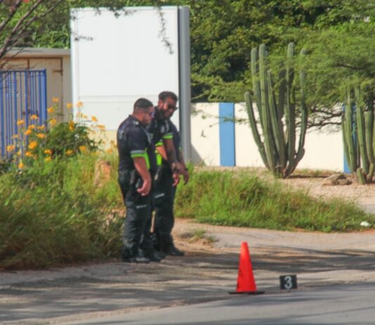 Mas cu 12 tiro a cay dilanti ex Cable Tv