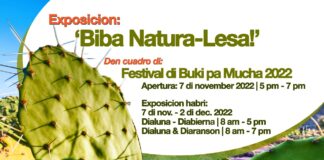 Exposicion Biba Natura-Lesa!