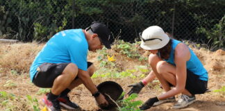 UN PLATAFORMA NOBO PA TRABOU BOLUNTARIO