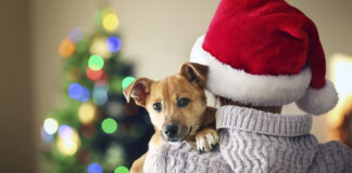 Klapchi y bo mascota, kico mester tene cuenta cun’e?