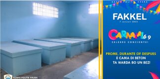 Preventief fouilleren den Carnaval