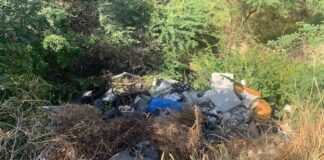 Habitantenan di Parkietenbos a capta personanan tirando sushi den mondi