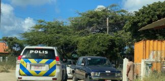 B.C.I. a cumpra van special pa transporta cacho prome cu a regla nan trabao legalmente