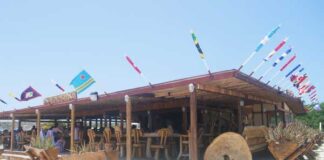 Storia di Big Mama no ta cuadra: DIP no ta traha diasabra!