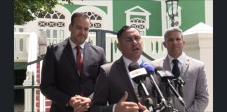 Punto principal di Raiz ta igualdad pa matrimonio homosexual