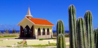 Rosario Bibo dialuna 6 di februari na Alto Vista