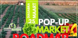 Parlamentario Darlaine Guedez-Erasmus: E concepto di benta di producto local ta sigui den diferente bario