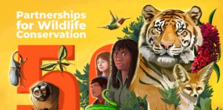 Dia mundial di Bestia y Matanan Salvahe 2023 ta celebra e 50 aña di e organisacion CITES