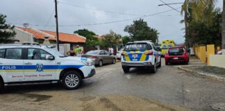 HOGAMENTO: Baby di 1 aña y mey a hoga den pisina na Sabana Basora