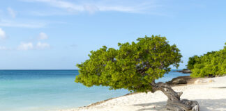 Editorial: Mester hala faha mara y cuminza paga e mega-debe bek pa libera nos di e intrestnan miyonario anual