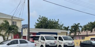 Arthur Dowers mester samina su consenshi prome e papia di pizza