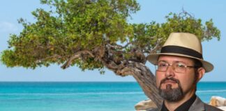 Analisis: E futuro di Rycond den AVP ta mustra scur