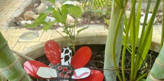 En conexion cu Dia di Mama tin un Workshop di copi, scoter y tegels acompaña cu High Tea den hardin