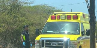 E conocido di polis L. Van Rijn lo a wordo malamente maltrata