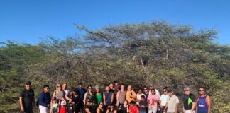 Actividadnan boluntario di Hilton ta mantene su miembronan di team activo!