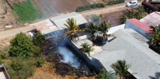 Candela di sushi cu yerba tabata menasa cas di palo