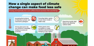 DIA MUNDIAL DI SEGURIDAD PA CONSUMO DI CUMINDA, 7 JUNI 2023