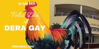 DNM Dera Gay