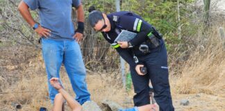 Motociclista herida den accidente di trafico na Sero Patrishi