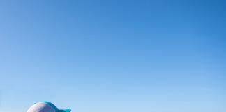 Minister Ursell Arends: Nos Oceano ta Fuente di Rikesa