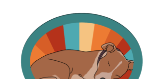 Presentacion di Leerlijn Nobo pa Cuido Responsabel di Mascota