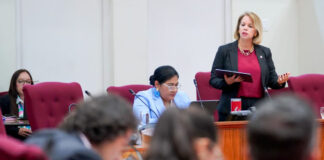 AMI NO A OCASIONA E PROBLEMANAN DI E PAIS AKI,PERO MI LO SOLUCIONA NAN SIBBO na frontera ta e solucion cu menos impacto