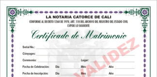 Matrimonio cu acta falso mester wordo anula y tur abusador expulsa