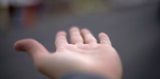 Patrick Paskel y Nelson Andrade a bay corte man bashi, sin prueba!