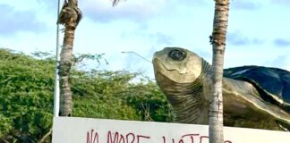 Detencion a cay riba autor di grafiti