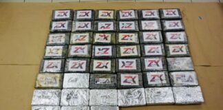 Polis a desmantela banda cu ta manda droga Hulanda; 6 persona deteni