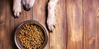 Cacho venena na Hooiberg bandi un plato di cuminda: Un yamada urgente pa consentisacion y accion