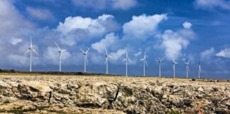 Na Vader Piet a haya un otro curpa sin bida na costa; ta falta 12 persona