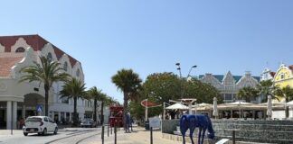 Tram ta staciona exclusivamente dilanti entrada di Mall: Ta faborece un riba otro?