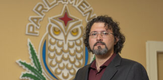 Ainda Gerlien su curason ta berde berde