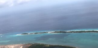 Stichting Parkietenbos na Gobierno y Parlamento: “awor mester di desicion”