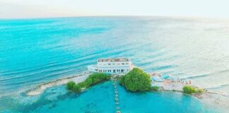 Controversia cu ambientalistanan pa Isla di Oro: Arubiano ta come Arubiano