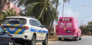 Atake di dos Pitbull a laga homber di 57 aña gravemente herida