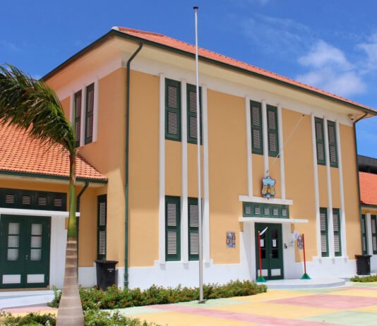 Chofer cu a dal turista mata cu auto y core bay dilanti Hues