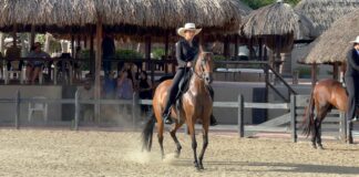 OCA ta organisa Feria Nacional di Cabay y Equitacion