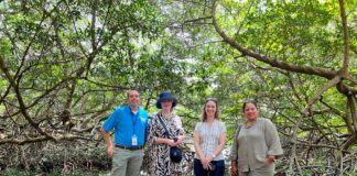 Dia di International pa Conservacion di Ecosistema di Mangrove