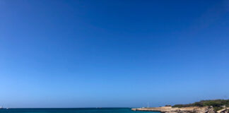 Ministerio di Naturalesa ta adresa mal conducta di actividadnan aquatico y proteccion di turtuga