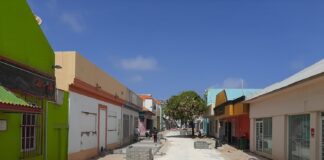 DOW: Proyecto Revitalisacion Mainstreet San Nicolas